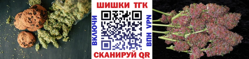 купить   Томари  Canna-Cookies конопля 