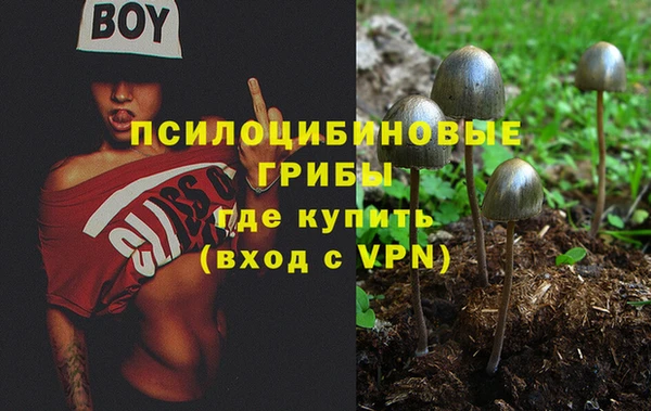 кокаин Белокуриха