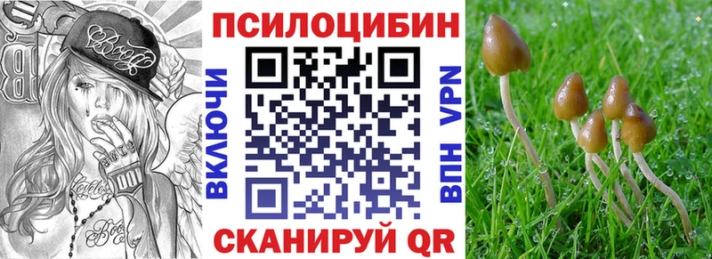 Галлюциногенные грибы Magic Shrooms  наркота  Томари 